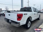 2023 F-150 Thumbnail 6