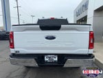 2023 F-150 Thumbnail 7