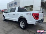 2023 F-150 Thumbnail 8