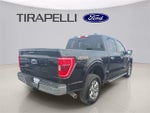 2023 F-150 Thumbnail 7