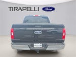 2023 F-150 Thumbnail 8