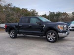 2023 F-150 Thumbnail 2