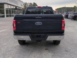 2023 F-150 Thumbnail 5