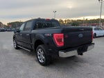 2023 F-150 Thumbnail 6