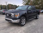 2023 F-150 Thumbnail 8