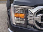 2023 F-150 Thumbnail 10
