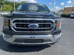 2023 F-150 Thumbnail 3