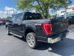 2023 F-150 Thumbnail 6