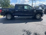 2023 F-150 Thumbnail 9