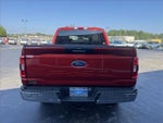 2023 F-150 Thumbnail 5