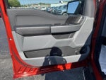 2023 F-150 Thumbnail 10