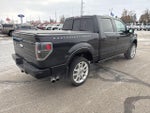 2011 F-150 Thumbnail 7