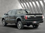2012 F-150 Thumbnail 2