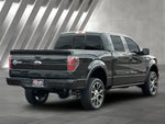 2012 F-150 Thumbnail 7