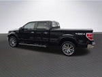 2013 F-150 Thumbnail 5