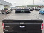 2013 F-150 Thumbnail 7