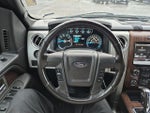 2013 F-150 Thumbnail 29