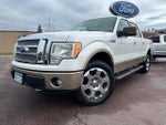 2011 F-150 Thumbnail 2