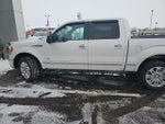 2011 F-150 Thumbnail 3