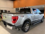 2021 F-150 Thumbnail 5