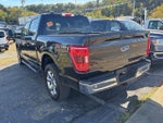 2021 F-150 Thumbnail 2