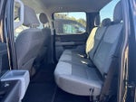 2021 F-150 Thumbnail 5
