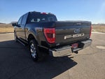 2021 F-150 Thumbnail 5