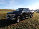 2021 F-150 Thumbnail 2