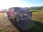 2021 F-150 Thumbnail 4
