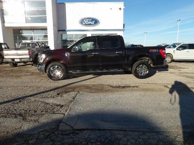 2021 Ford F-150 4X4 XL 4DR Supercrew 5.5 FT. SB