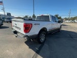 2021 F-150 Thumbnail 4