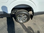 2021 F-150 Thumbnail 8