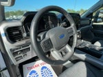 2021 F-150 Thumbnail 12