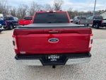 2021 F-150 Thumbnail 9