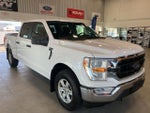 2021 F-150 Thumbnail 3
