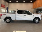2021 F-150 Thumbnail 4