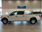 2021 F-150 Thumbnail 8