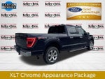 2021 F-150 Thumbnail 8