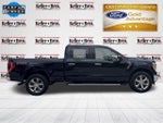 2021 F-150 Thumbnail 12