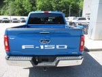 2021 F-150 Thumbnail 4