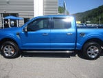 2021 F-150 Thumbnail 6