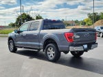 2021 F-150 Thumbnail 4