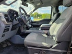 2021 F-150 Thumbnail 8
