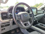 2021 F-150 Thumbnail 10