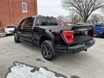 2021 F-150 Thumbnail 7