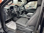 2021 F-150 Thumbnail 10