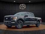 2021 F-150 Thumbnail 4