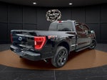 2021 F-150 Thumbnail 5