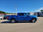 2022 F-150 Thumbnail 4