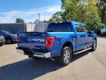 2022 F-150 Thumbnail 5
